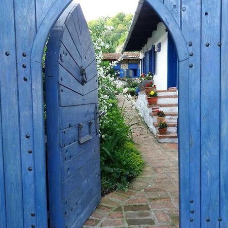 Villa Casa Anca Cheile Nerei Sokolar Esterno foto