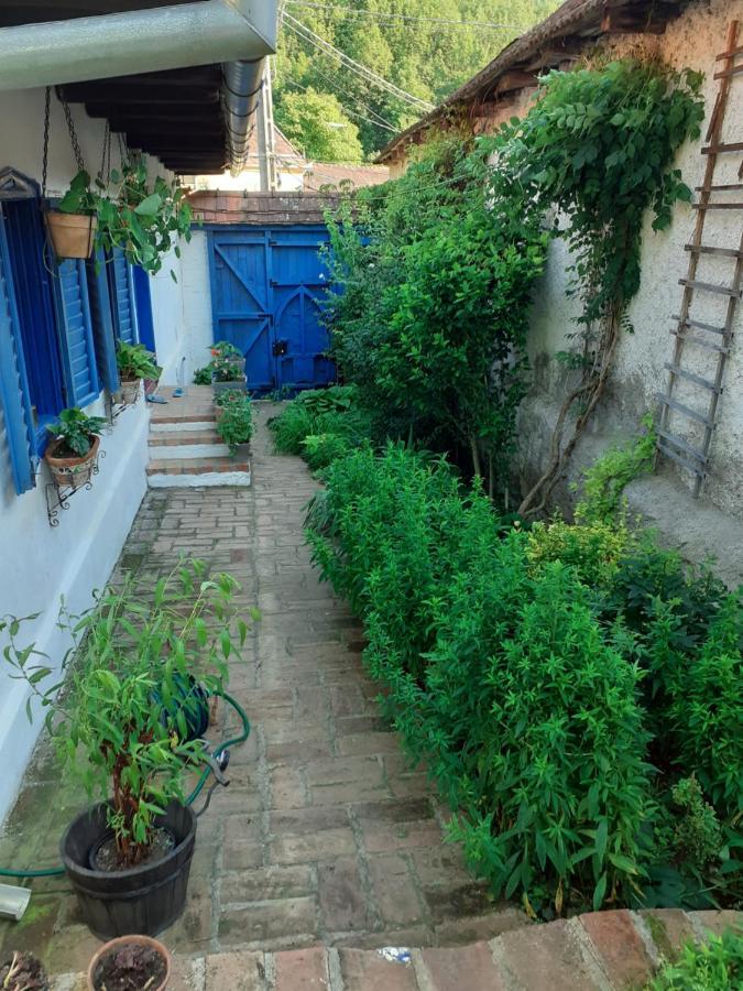 Villa Casa Anca Cheile Nerei Sokolar Esterno foto