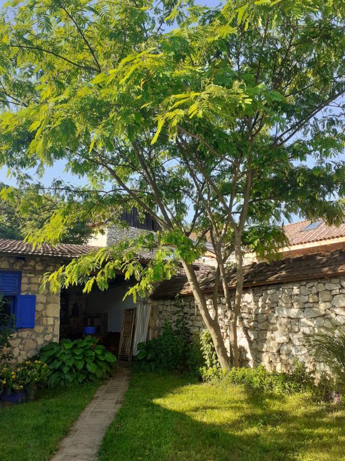 Villa Casa Anca Cheile Nerei Sokolar Esterno foto