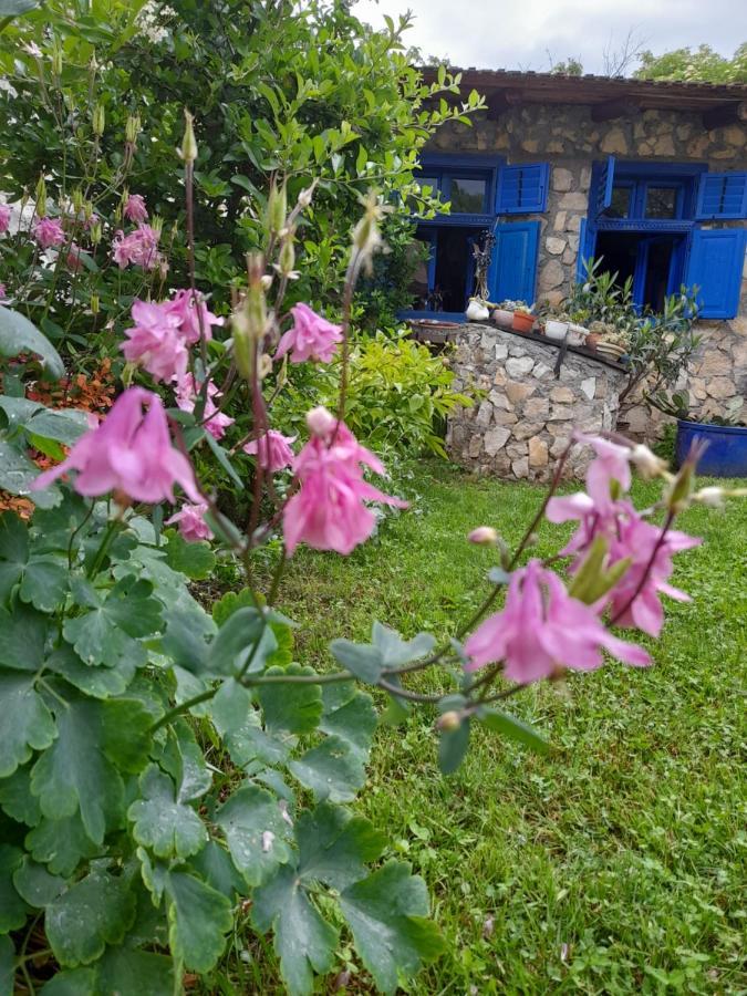 Villa Casa Anca Cheile Nerei Sokolar Esterno foto