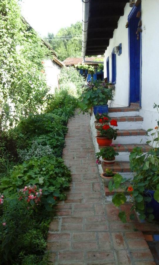 Villa Casa Anca Cheile Nerei Sokolar Esterno foto