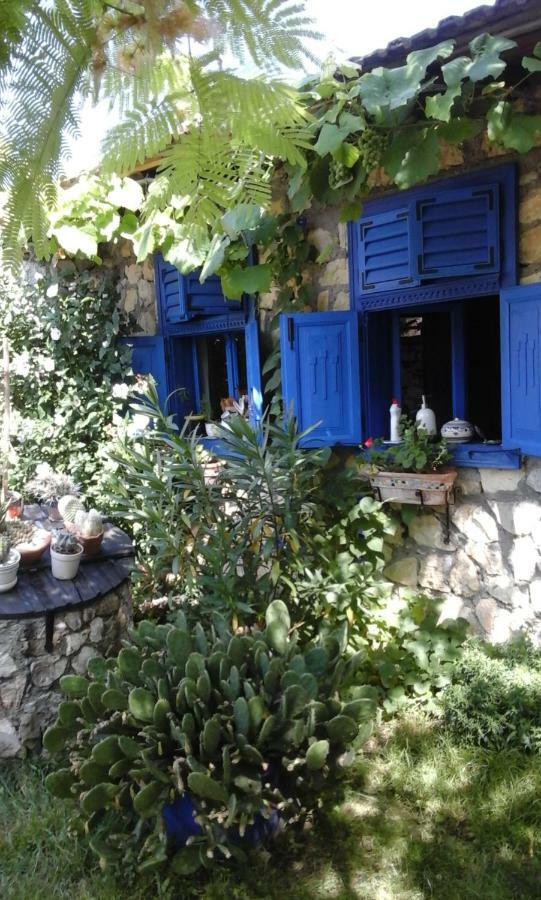 Villa Casa Anca Cheile Nerei Sokolar Esterno foto
