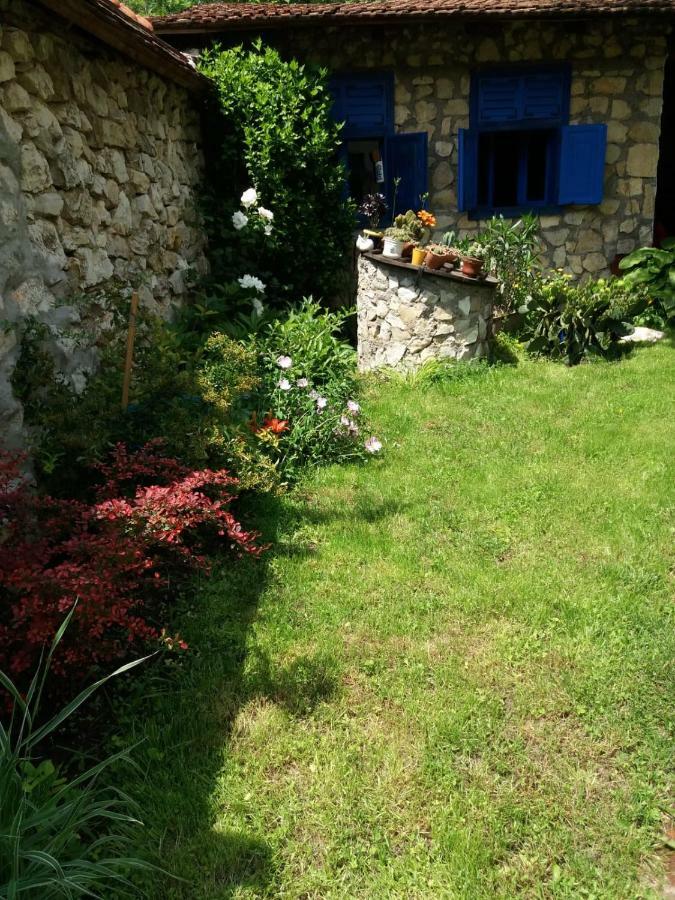 Villa Casa Anca Cheile Nerei Sokolar Esterno foto